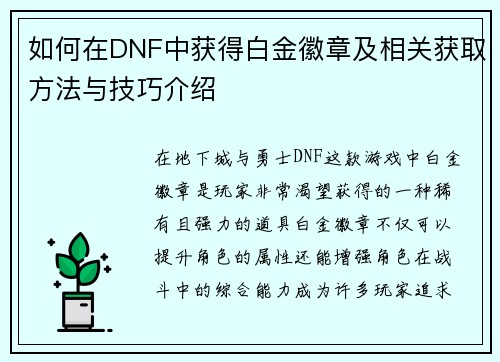 如何在DNF中获得白金徽章及相关获取方法与技巧介绍